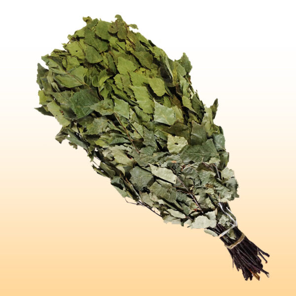Березовый веник для бани (молодые листья)
